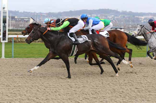 Photo d'arrivée de la course pmu PRIX D'ESSAI à DEAUVILLE le Jeudi 3 janvier 2019