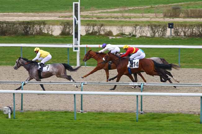 Photo d'arrivée de la course pmu PRIX DE LA BARELIERE à DEAUVILLE le Vendredi 4 janvier 2019