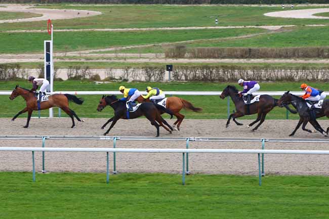 Photo d'arrivée de la course pmu PRIX DES ROUGES TERRES à DEAUVILLE le Vendredi 4 janvier 2019