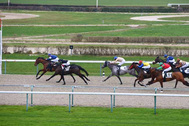 Photo d'arrivée de la course pmu PRIX DU BOIS GUIMON à DEAUVILLE le Vendredi 4 janvier 2019
