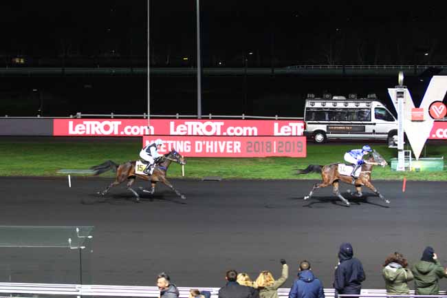 Photo d'arrivée de la course pmu PRIX DE MAROLLES à PARIS-VINCENNES le Samedi 5 janvier 2019