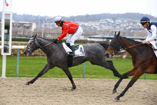 Photo d'arrivée de la course pmu PRIX D'HASPEL à DEAUVILLE le Samedi 5 janvier 2019
