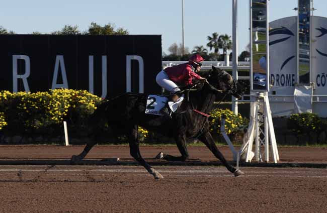Photo d'arrivée de la course pmu PRIX HULK DE GODISSON à CAGNES-SUR-MER le Jeudi 10 janvier 2019