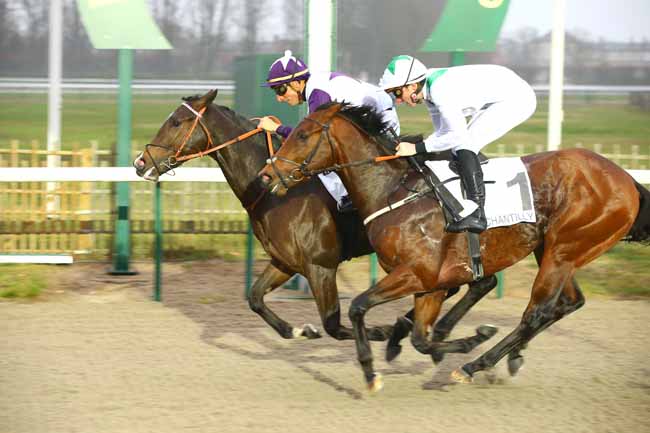 Photo d'arrivée de la course pmu PRIX DE CHASSELOUP à CHANTILLY le Samedi 12 janvier 2019