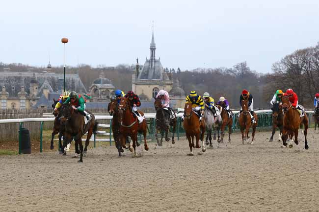 Photo d'arrivée de la course pmu PRIX DU CARREFOUR DES GRANDES VENTES à CHANTILLY le Dimanche 13 janvier 2019