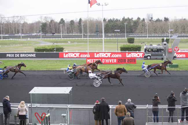 Photo d'arrivée de la course pmu PRIX DE BRIONNE à PARIS-VINCENNES le Lundi 14 janvier 2019