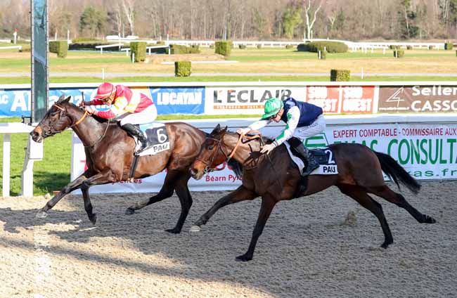 Photo d'arrivée de la course pmu PRIX DE THEZE à PAU le Mardi 15 janvier 2019