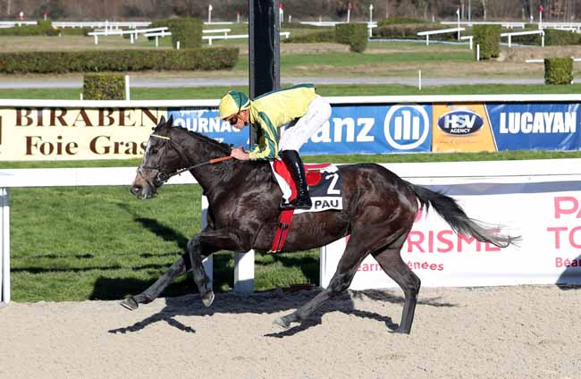 Photo d'arrivée de la course pmu PRIX DE MAZEROLLES à PAU le Mardi 15 janvier 2019