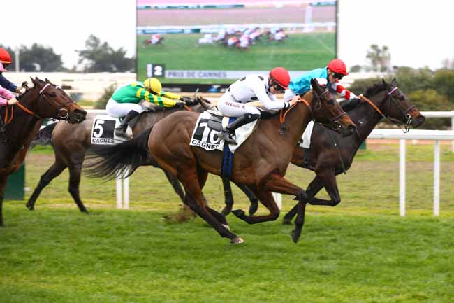 Photo d'arrivée de la course pmu PRIX DE CANNES à CAGNES-SUR-MER le Mercredi 16 janvier 2019