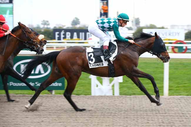 Photo d'arrivée de la course pmu PRIX DE LA PROMENADE DES ANGLAIS à CAGNES-SUR-MER le Mercredi 16 janvier 2019