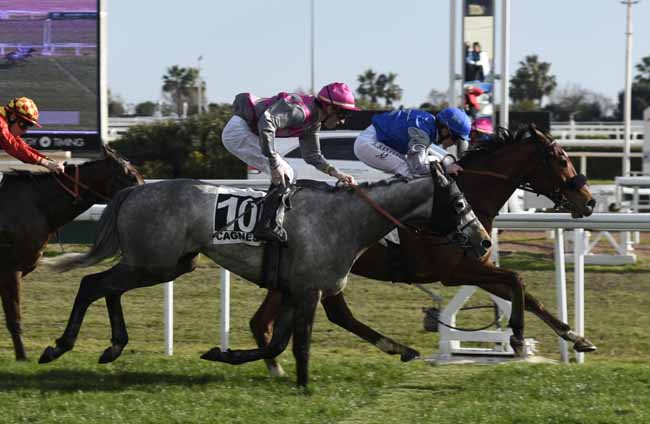 Photo d'arrivée de la course pmu PRIX CHARLES GASTAUD à CAGNES-SUR-MER le Vendredi 18 janvier 2019