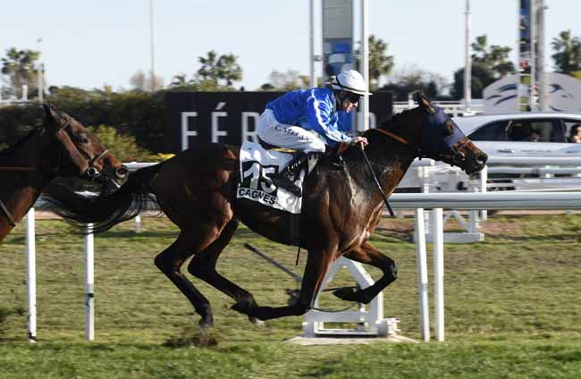Photo d'arrivée de la course pmu PRIX DU COL DE VENCE à CAGNES-SUR-MER le Vendredi 18 janvier 2019