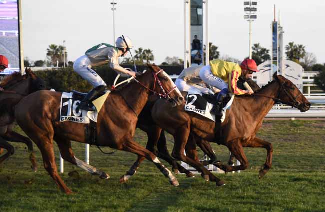 Photo d'arrivée de la course pmu PRIX JEAN-GABRIEL DOMERGUE à CAGNES-SUR-MER le Vendredi 18 janvier 2019