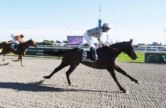 Photo d'arrivée de la course pmu PRIX DU LANGUEDOC à CAGNES-SUR-MER le Lundi 21 janvier 2019