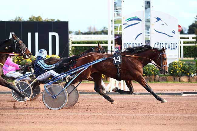 Photo d'arrivée de la course pmu PRIX HENRI ESTABLE à CAGNES-SUR-MER le Mercredi 23 janvier 2019