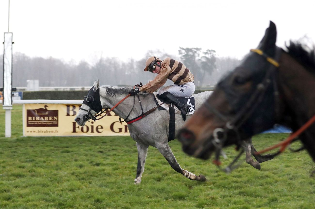 Photo d'arrivée de la course pmu PRIX FERDIANT RIANT à PAU le Vendredi 25 janvier 2019