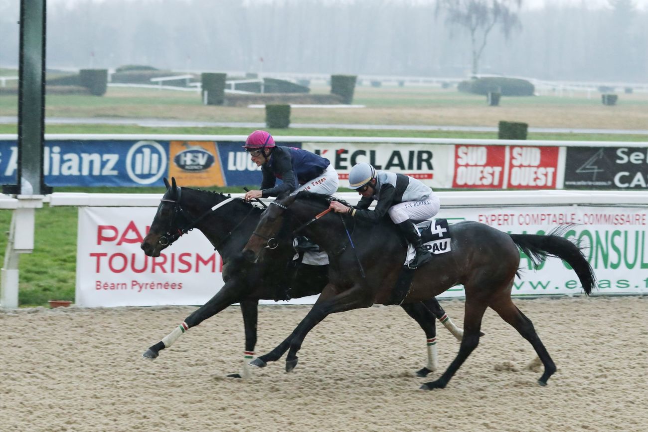 Photo d'arrivée de la course pmu PRIX D'ARAUJUZON à PAU le Vendredi 25 janvier 2019