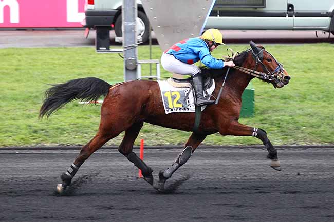 Photo d'arrivée de la course pmu PRIX DE LEZIGNAN à PARIS-VINCENNES le Lundi 28 janvier 2019