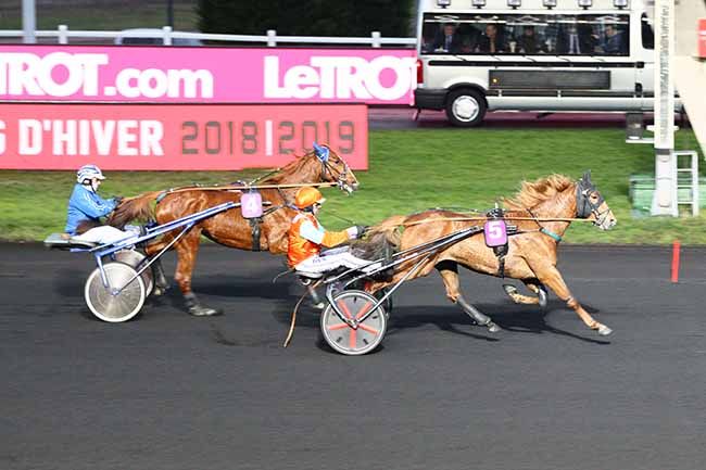 Photo d'arrivée de la course pmu PRIX D'AMBERT à PARIS-VINCENNES le Mardi 29 janvier 2019