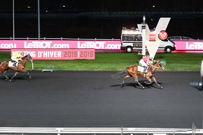 Photo d'arrivée de la course pmu PRIX DE CARCASSONNE à PARIS-VINCENNES le Mardi 29 janvier 2019