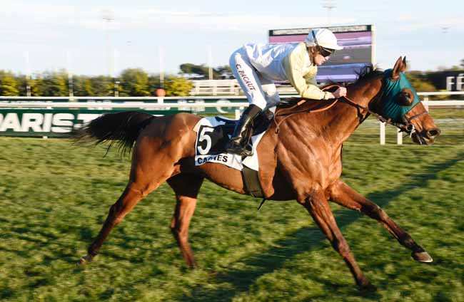Photo d'arrivée de la course pmu PRIX DE MORGIOU à CAGNES-SUR-MER le Mercredi 30 janvier 2019