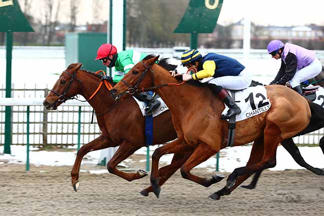 Photo d'arrivée de la course pmu PRIX DE NOISY-SUR-OISE à CHANTILLY le Jeudi 31 janvier 2019