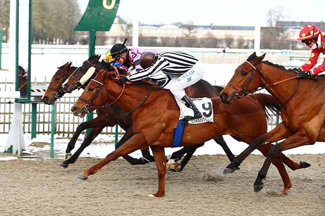 Photo d'arrivée de la course pmu PRIX DE LA ROUTE DES FERMETTES à CHANTILLY le Jeudi 31 janvier 2019