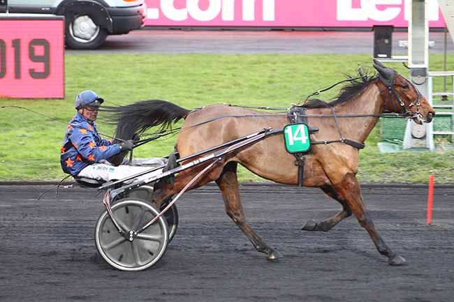 Photo d'arrivée de la course pmu PRIX DE CAGNY à PARIS-VINCENNES le Samedi 2 février 2019