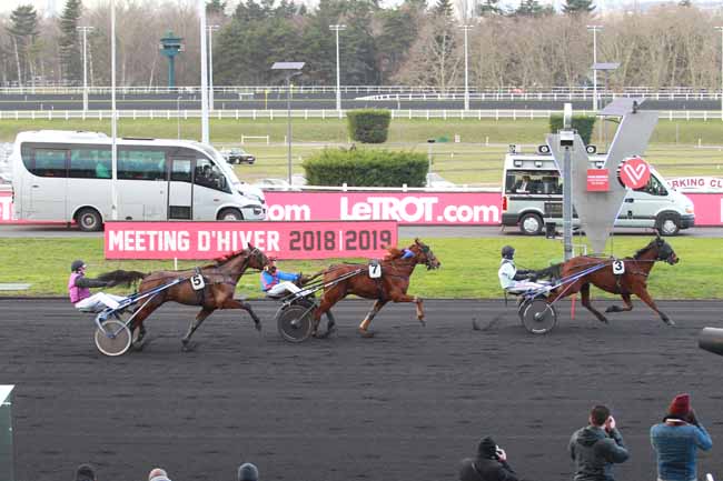 Photo d'arrivée de la course pmu PRIX DE BRIEY à PARIS-VINCENNES le Dimanche 3 février 2019