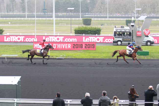 Photo d'arrivée de la course pmu PRIX DE ROMORANTIN à PARIS-VINCENNES le Mercredi 6 février 2019