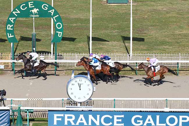 Photo d'arrivée de la course pmu PRIX DU BOSQUET SAINT-ROMAIN à CHANTILLY le Jeudi 7 février 2019