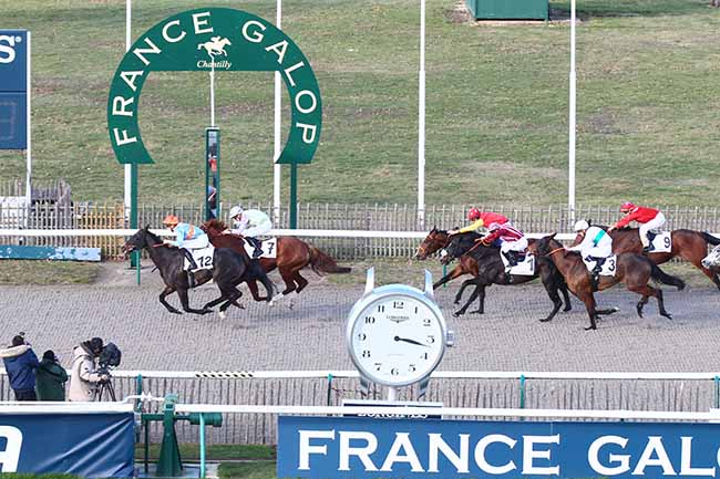 Photo d'arrivée de la course pmu PRIX DE LA ROUTE LONGUE à CHANTILLY le Jeudi 7 février 2019