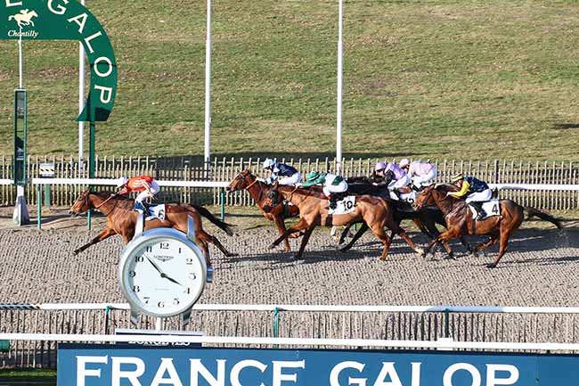 Photo d'arrivée de la course pmu PRIX DE LA ROUTE CAROLINE à CHANTILLY le Jeudi 7 février 2019