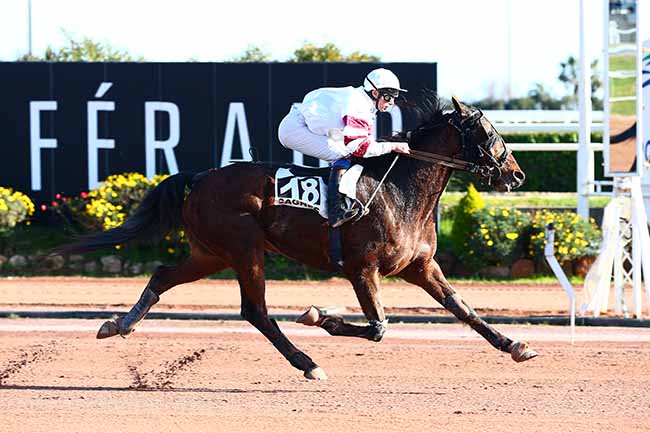 Photo d'arrivée de la course pmu PRIX DE BEDARIEUX à CAGNES-SUR-MER le Vendredi 8 février 2019
