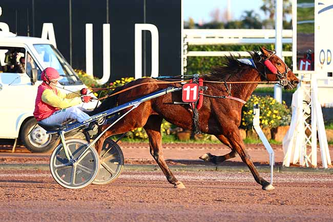 Photo d'arrivée de la course pmu PRIX DE SEVILLE à CAGNES-SUR-MER le Vendredi 8 février 2019