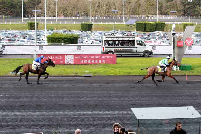 Photo d'arrivée de la course pmu PRIX SALAM à PARIS-VINCENNES le Dimanche 10 février 2019
