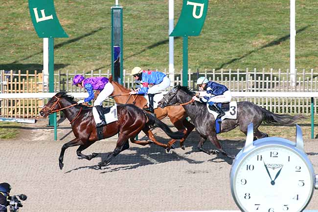 Photo d'arrivée de la course pmu PRIX DU POTEAU DES VIGNETTES à CHANTILLY le Mardi 12 février 2019