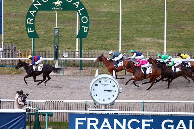 Photo d'arrivée de la course pmu PRIX DE LA PREMIERE ROUTE RONDE à CHANTILLY le Mardi 12 février 2019