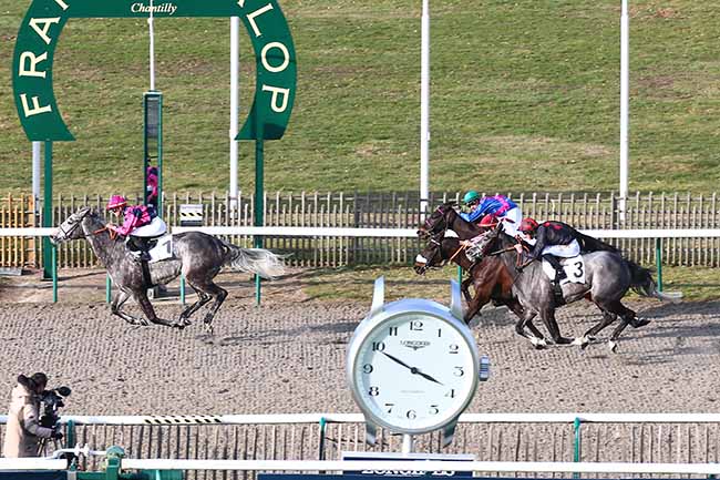 Photo d'arrivée de la course pmu PRIX DE LA ROUTE DES GRANDS CHENES à CHANTILLY le Mardi 12 février 2019