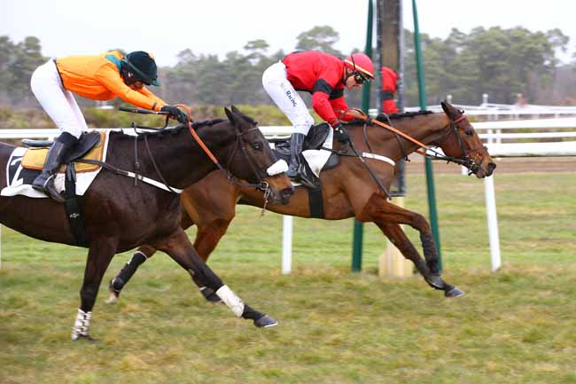 Photo d'arrivée de la course pmu PRIX DU MONT CHAUVET à FONTAINEBLEAU le Mardi 19 février 2019