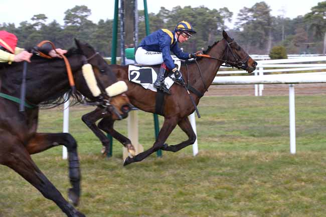 Photo d'arrivée de la course pmu PRIX DE LA COMMUNAUTE D'AGGLOMERATION DU PAYS DE FONTAINEBLEAU à FONTAINEBLEAU le Mardi 19 février 2019