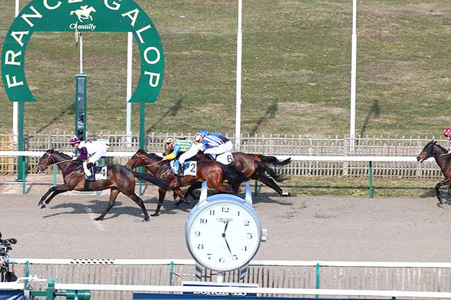 Photo d'arrivée de la course pmu PRIX DU COEUR DES PRINCES à CHANTILLY le Jeudi 21 février 2019