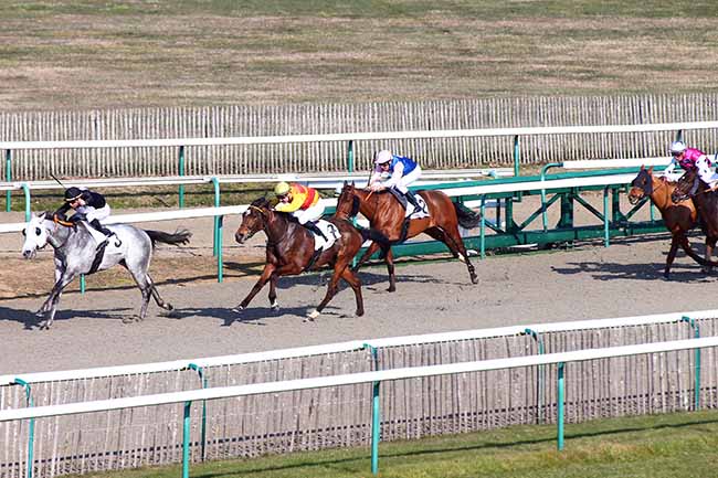 Photo d'arrivée de la course pmu PRIX DU LAYON GASPARD à CHANTILLY le Jeudi 21 février 2019