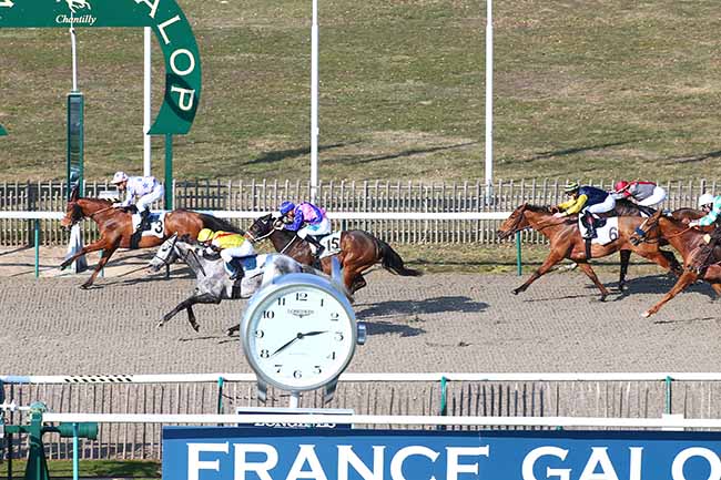 Photo d'arrivée de la course pmu PRIX DU CHEMIN DE PARIS à CHANTILLY le Jeudi 21 février 2019
