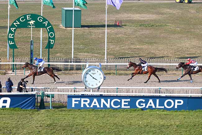 Photo d'arrivée de la course pmu PRIX DE LA ROUTE DES SUISSES à CHANTILLY le Jeudi 21 février 2019
