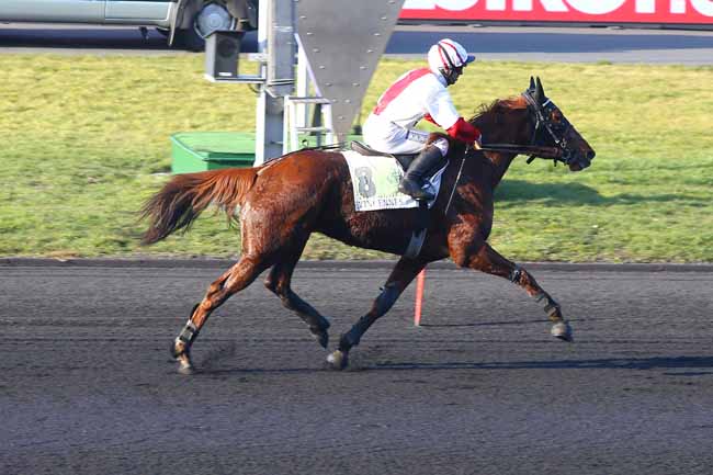 Photo d'arrivée de la course pmu PRIX DE DRAGUIGNAN à PARIS-VINCENNES le Vendredi 22 février 2019