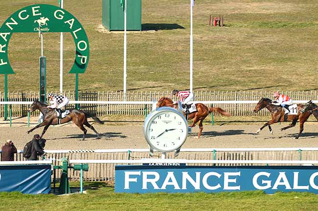Photo d'arrivée de la course pmu PRIX DE LA HAUTE POMMERAYE à CHANTILLY le Vendredi 22 février 2019