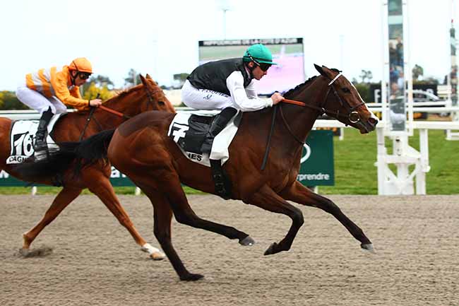 Photo d'arrivée de la course pmu PRIX STAR APPEAL à CAGNES-SUR-MER le Samedi 23 février 2019