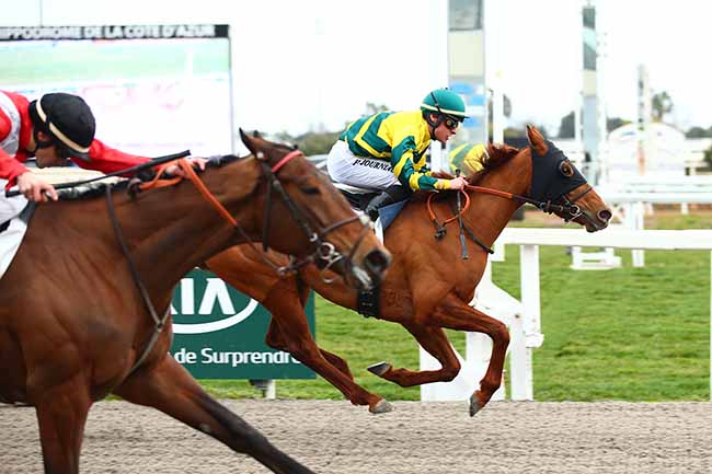 Photo d'arrivée de la course pmu PRIX JACQUES GELIOT à CAGNES-SUR-MER le Samedi 23 février 2019