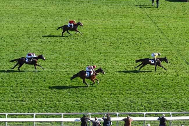 Photo d'arrivée de la course pmu PRIX VARAVILLE à AUTEUIL le Mardi 26 février 2019